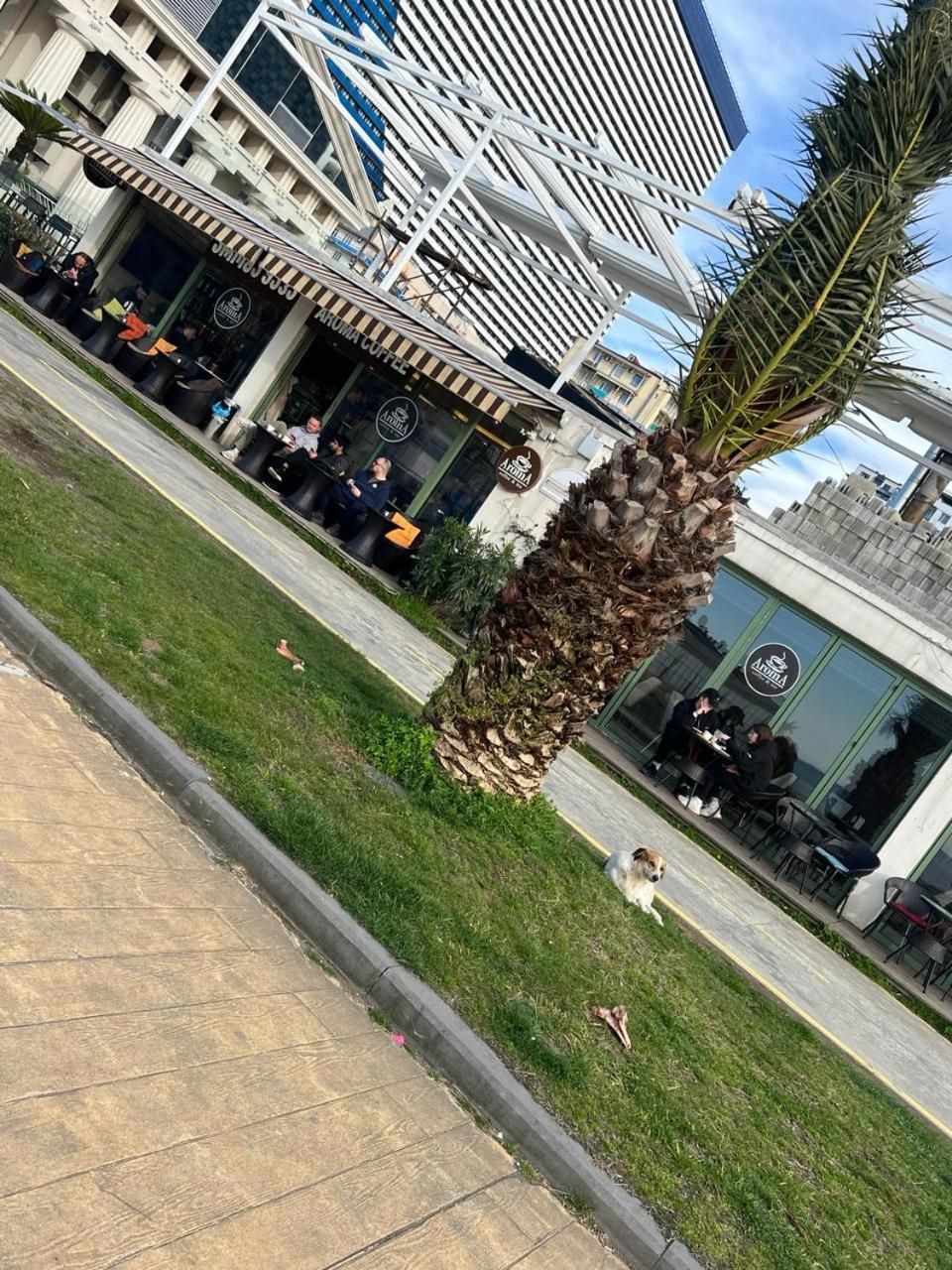 Hotel Paris باتومي المظهر الخارجي الصورة
